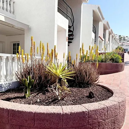 Pedro&miguel Apartment, Canarias, Апартаменты Адехе